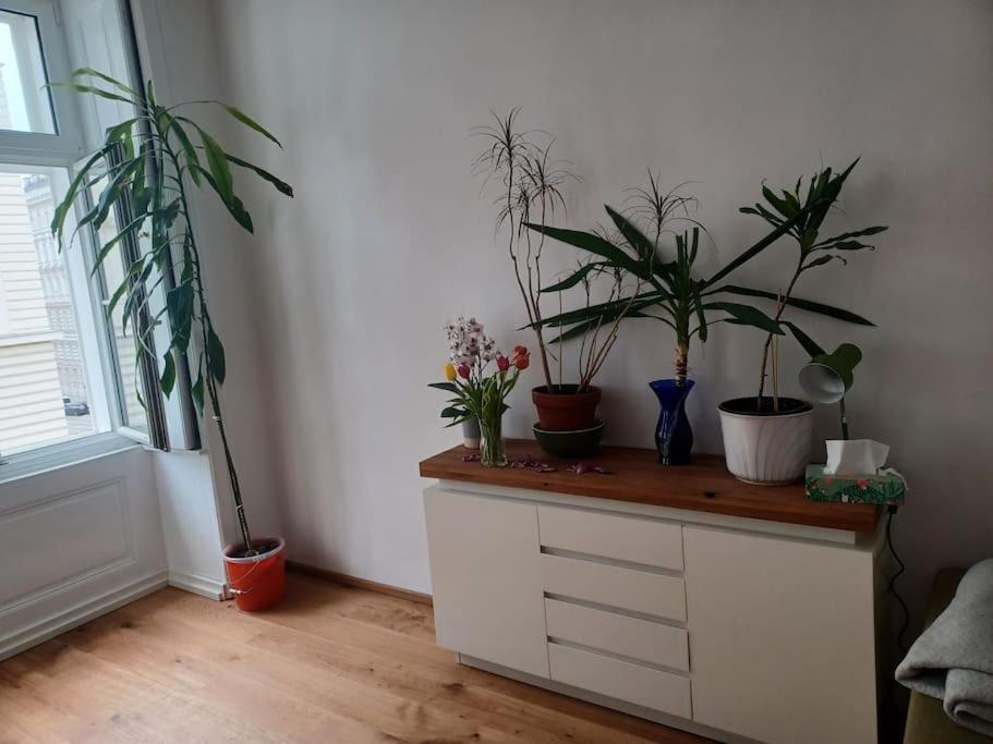 Sehr Zentral Gelegen Apartment Wina Bagian luar foto